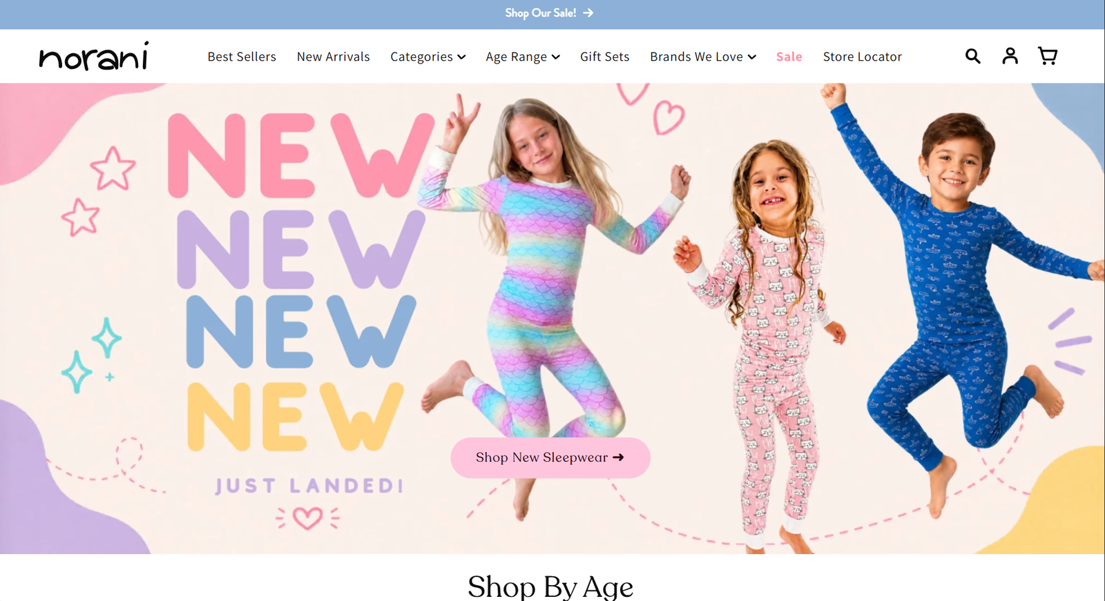 Norani website screenshot